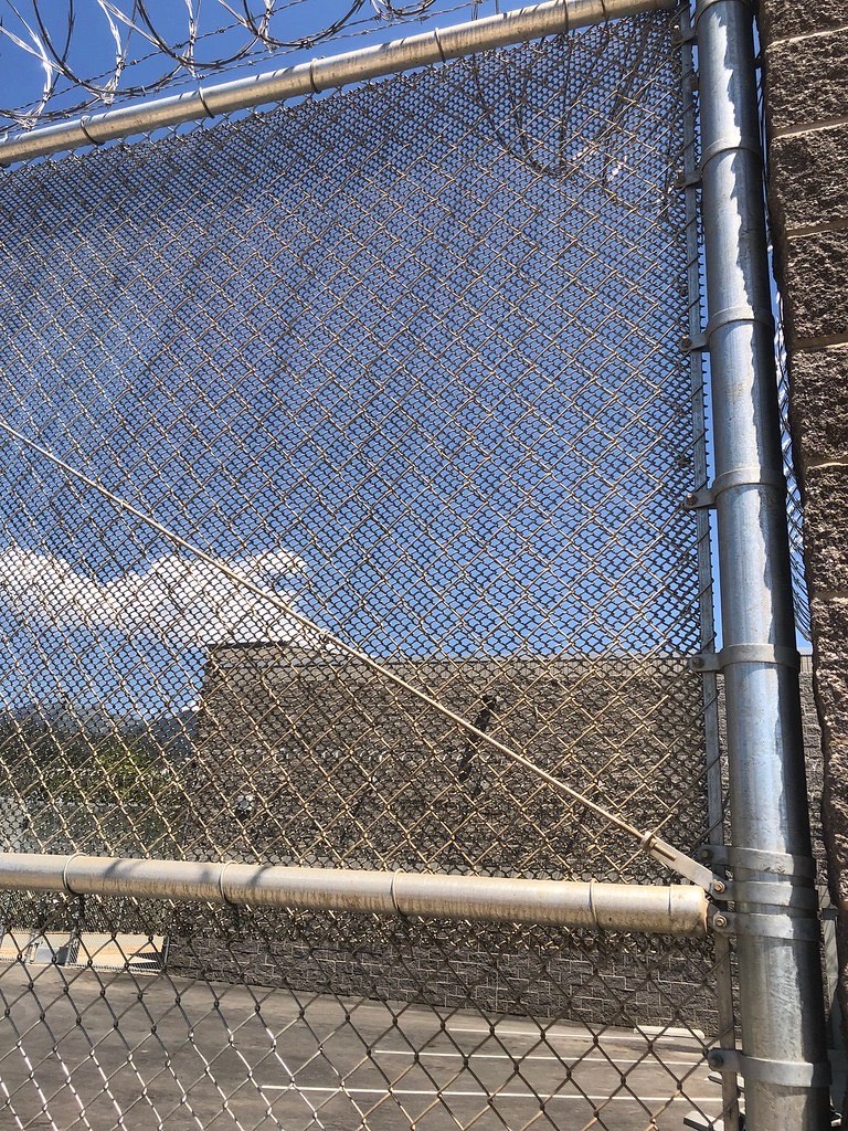 Galvanized chain link fence installed in Humboldt County residential yard