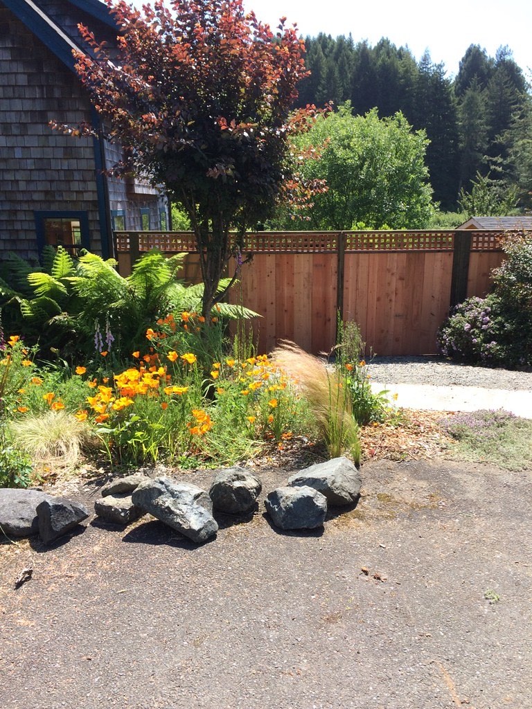 Redwood shadowbox fence installed in a residential Eureka backyard