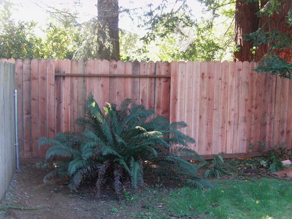 Wood fence with traditional profile for a Ferndale residential lot