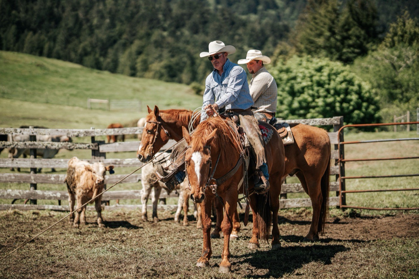 Russ Renner, owner of Humboldt Fence Company, on horseback at his Humboldt County ranch